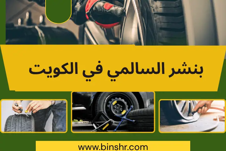 خدمات بنشر السالمي